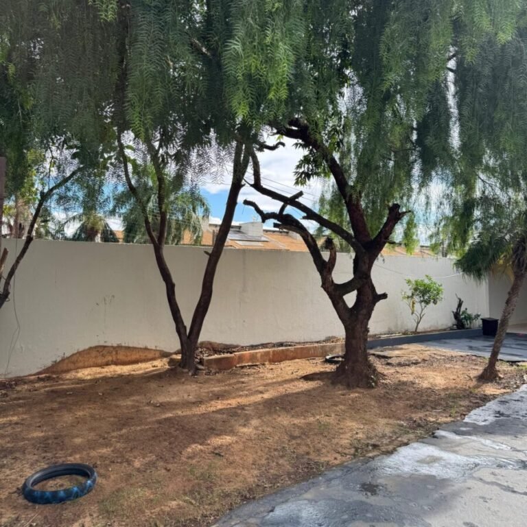 WhatsApp Image 2025-11-25 at 16.01.31